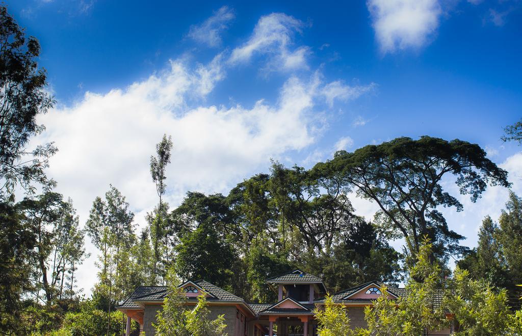 Kuniville Guest House Nyeri Exterior photo